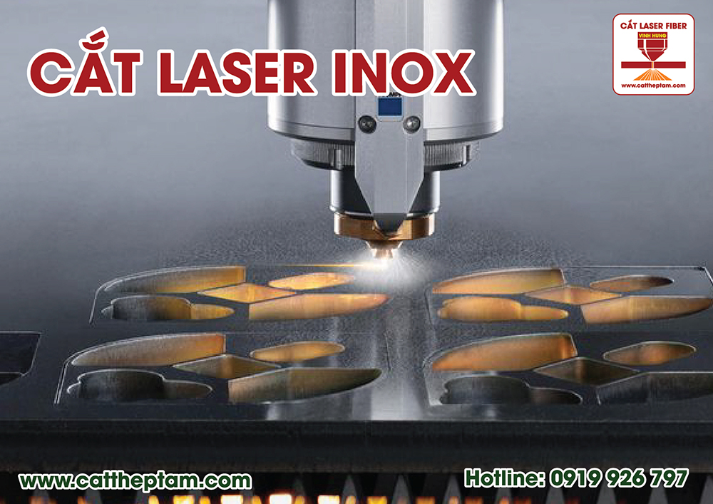 cat laser inox 2