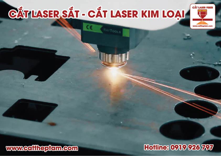 cat laser sat 10