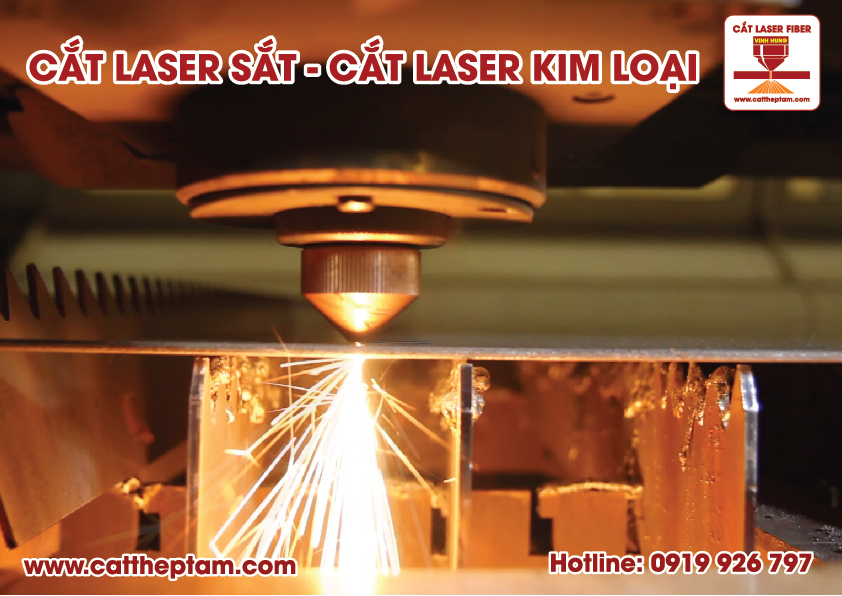 cat laser sat 8