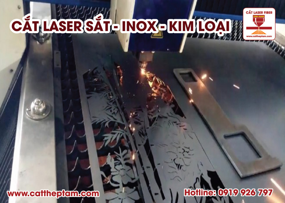 cat laser inox 06