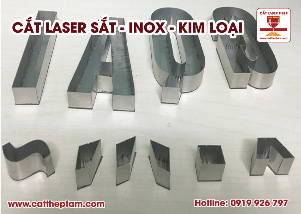 cat laser sat inox 02