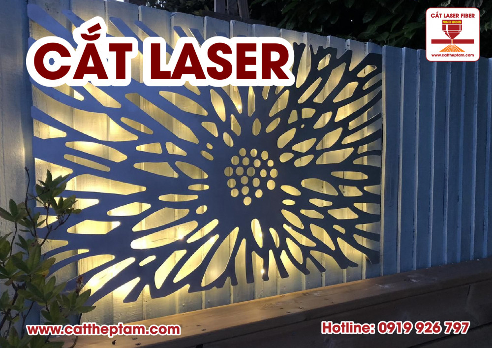 cat laser 01