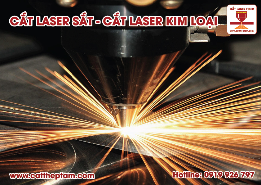 cat laser sat 11