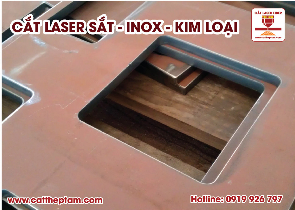 cat laser inox 02 12
