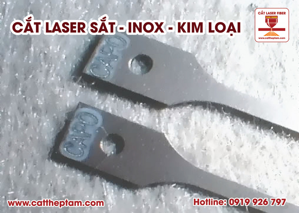 cat laser inox 02 8