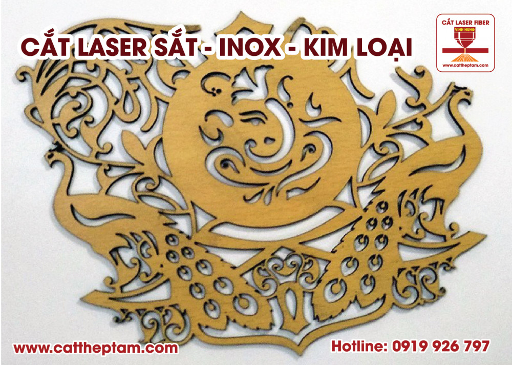 cat laser inox 02